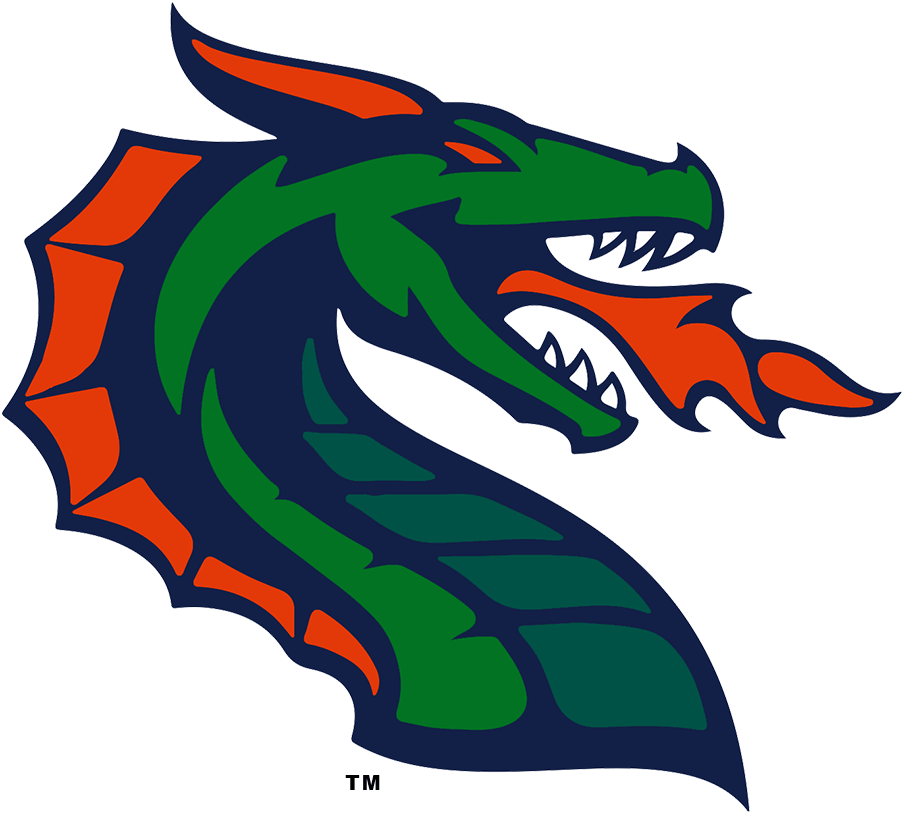 Seattle Dragons 2020-Pres Primary Logo vinyl decal